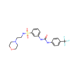 O=C(Nc1ccc(C(F)(F)F)cc1)Nc1cccc(S(=O)(=O)NCCN2CCOCC2)c1 ZINC000049089381