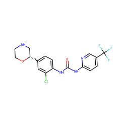 O=C(Nc1ccc(C(F)(F)F)cn1)Nc1ccc([C@H]2CNCCO2)cc1Cl ZINC000149928645