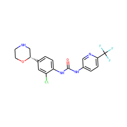 O=C(Nc1ccc(C(F)(F)F)nc1)Nc1ccc([C@H]2CNCCO2)cc1Cl ZINC000149905369
