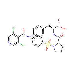 O=C(Nc1ccc(C[C@H](NC(=O)[C@@H]2CCCN2S(=O)(=O)c2ccccc2)C(=O)O)cc1)c1c(Cl)cncc1Cl ZINC000029557222