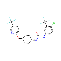O=C(Nc1ccc(Cl)c(C(F)(F)F)c1)N[C@H]1CC[C@H](Oc2ccc(C(F)(F)F)cn2)CC1 ZINC000238853233