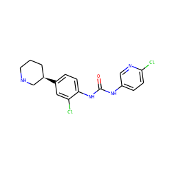 O=C(Nc1ccc(Cl)nc1)Nc1ccc([C@@H]2CCCNC2)cc1Cl ZINC000149952147
