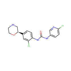 O=C(Nc1ccc(Cl)nc1)Nc1ccc([C@@H]2CNCCO2)cc1Cl ZINC000149894547