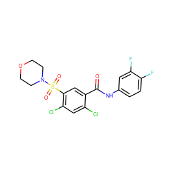 O=C(Nc1ccc(F)c(F)c1)c1cc(S(=O)(=O)N2CCOCC2)c(Cl)cc1Cl ZINC000003216187