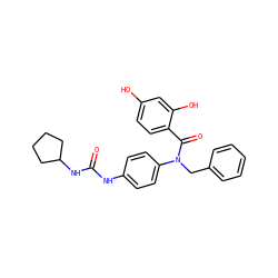 O=C(Nc1ccc(N(Cc2ccccc2)C(=O)c2ccc(O)cc2O)cc1)NC1CCCC1 ZINC000653666918
