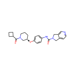 O=C(Nc1ccc(O[C@@H]2CCCN(C(=O)C3CCC3)C2)cc1)N1Cc2ccncc2C1 ZINC000166772107