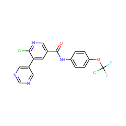 O=C(Nc1ccc(OC(F)(F)Cl)cc1)c1cnc(Cl)c(-c2cncnc2)c1 ZINC000224271083