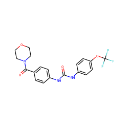 O=C(Nc1ccc(OC(F)(F)F)cc1)Nc1ccc(C(=O)N2CCOCC2)cc1 ZINC000049054165