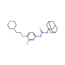 O=C(Nc1ccc(OCCN2CCOCC2)c(Cl)c1)NC12CC3CC(CC(C3)C1)C2 ZINC000084669510