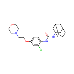 O=C(Nc1ccc(OCCN2CCOCC2)cc1Cl)NC12CC3CC(CC(C3)C1)C2 ZINC000084669935