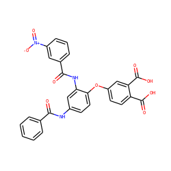 O=C(Nc1ccc(Oc2ccc(C(=O)O)c(C(=O)O)c2)c(NC(=O)c2cccc([N+](=O)[O-])c2)c1)c1ccccc1 ZINC000027104882