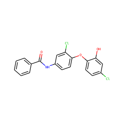 O=C(Nc1ccc(Oc2ccc(Cl)cc2O)c(Cl)c1)c1ccccc1 ZINC000028562825