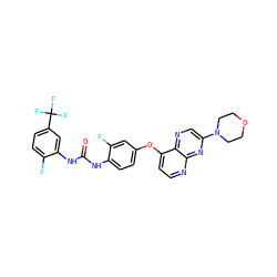 O=C(Nc1ccc(Oc2ccnc3nc(N4CCOCC4)cnc23)cc1F)Nc1cc(C(F)(F)F)ccc1F ZINC000058538387