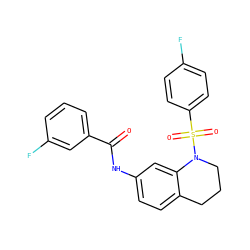 O=C(Nc1ccc2c(c1)N(S(=O)(=O)c1ccc(F)cc1)CCC2)c1cccc(F)c1 ZINC000009569442