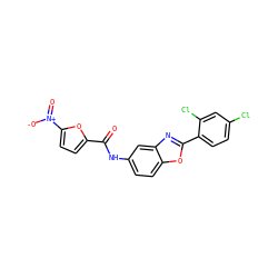 O=C(Nc1ccc2oc(-c3ccc(Cl)cc3Cl)nc2c1)c1ccc([N+](=O)[O-])o1 ZINC000000830424