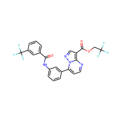 O=C(Nc1cccc(-c2ccnc3c(C(=O)OCC(F)(F)F)cnn23)c1)c1cccc(C(F)(F)F)c1 ZINC000043070457