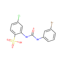 O=C(Nc1cccc(Br)c1)Nc1cc(Cl)ccc1S(=O)(=O)O ZINC000013586808