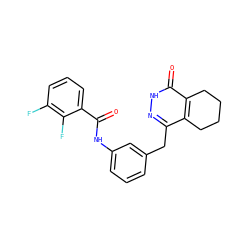 O=C(Nc1cccc(Cc2n[nH]c(=O)c3c2CCCC3)c1)c1cccc(F)c1F ZINC000167017117