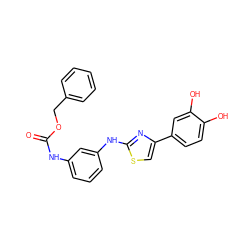 O=C(Nc1cccc(Nc2nc(-c3ccc(O)c(O)c3)cs2)c1)OCc1ccccc1 ZINC001772632109