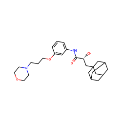 O=C(Nc1cccc(OCCCN2CCOCC2)c1)[C@H](O)CC12CC3CC(CC(C3)C1)C2 ZINC000040862838