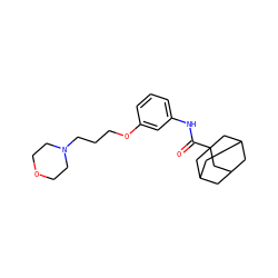 O=C(Nc1cccc(OCCCN2CCOCC2)c1)C12CC3CC(CC(C3)C1)C2 ZINC000040849237