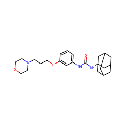 O=C(Nc1cccc(OCCCN2CCOCC2)c1)NC12CC3CC(CC(C3)C1)C2 ZINC000040391127