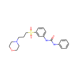 O=C(Nc1ccccc1)Nc1cccc(S(=O)(=O)CCCN2CCOCC2)c1 ZINC000049110596