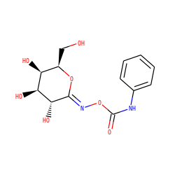 O=C(Nc1ccccc1)O/N=C1\O[C@H](CO)[C@H](O)[C@H](O)[C@H]1O ZINC000090697650
