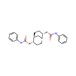 O=C(Nc1ccccc1)O[C@H]1CC[C@@H]2C[C@@H]1CC[C@@H]2OC(=O)Nc1ccccc1 ZINC000100586312
