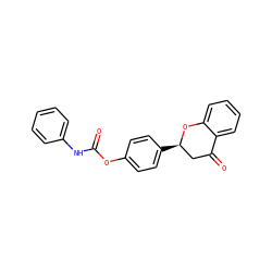 O=C(Nc1ccccc1)Oc1ccc([C@@H]2CC(=O)c3ccccc3O2)cc1 ZINC000098082363
