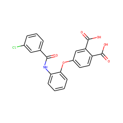 O=C(Nc1ccccc1Oc1ccc(C(=O)O)c(C(=O)O)c1)c1cccc(Cl)c1 ZINC000013580632