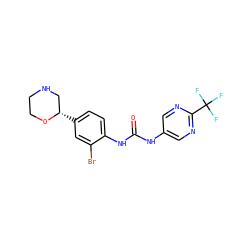 O=C(Nc1cnc(C(F)(F)F)nc1)Nc1ccc([C@H]2CNCCO2)cc1Br ZINC000149960040