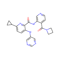 O=C(Nc1cnccc1C(=O)N1CCC1)c1nc(C2CC2)ccc1Nc1cncnc1 ZINC000148991713