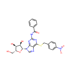O=C(Nc1nc(SCc2ccc([N+](=O)[O-])cc2)c2ncn([C@@H]3O[C@H](CO)[C@@H](O)[C@H]3O)c2n1)c1ccccc1 ZINC000028875813