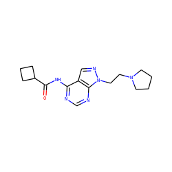 O=C(Nc1ncnc2c1cnn2CCN1CCCC1)C1CCC1 ZINC000143202413