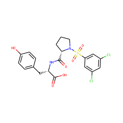 O=C(O)[C@H](Cc1ccc(O)cc1)NC(=O)[C@@H]1CCCN1S(=O)(=O)c1cc(Cl)cc(Cl)c1 ZINC000013436447
