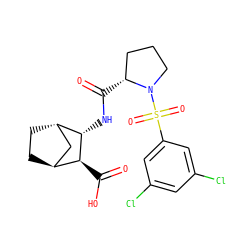 O=C(O)[C@H]1[C@H]2CC[C@@H](C2)[C@@H]1NC(=O)[C@@H]1CCCN1S(=O)(=O)c1cc(Cl)cc(Cl)c1 ZINC000101091317