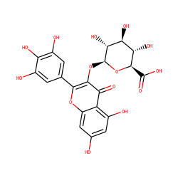 O=C(O)[C@H]1O[C@@H](Oc2c(-c3cc(O)c(O)c(O)c3)oc3cc(O)cc(O)c3c2=O)[C@H](O)[C@@H](O)[C@@H]1O ZINC000028538752