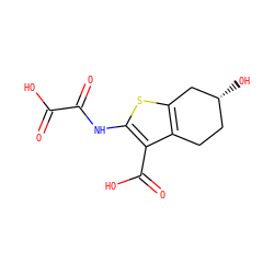 O=C(O)C(=O)Nc1sc2c(c1C(=O)O)CC[C@@H](O)C2 ZINC000013491473