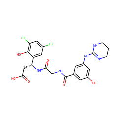 O=C(O)C[C@@H](NC(=O)CNC(=O)c1cc(O)cc(NC2=NCCCN2)c1)c1cc(Cl)cc(Cl)c1O ZINC000089780961