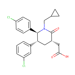 O=C(O)C[C@@H]1C[C@H](c2cccc(Cl)c2)[C@@H](c2ccc(Cl)cc2)N(CC2CC2)C1=O ZINC000095573417