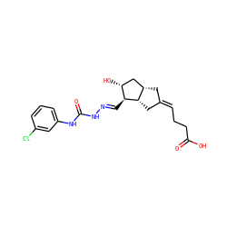 O=C(O)CC/C=C1/C[C@H]2C[C@@H](O)[C@H](/C=N/NC(=O)Nc3cccc(Cl)c3)[C@H]2C1 ZINC000026164989