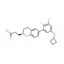 O=C(O)CC[C@H]1CCc2cc(-c3cc(OC4CCC4)cc(Cl)c3F)ccc2O1 ZINC001772645495
