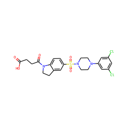 O=C(O)CCC(=O)N1CCc2cc(S(=O)(=O)N3CCN(c4cc(Cl)cc(Cl)c4)CC3)ccc21 ZINC000118527907