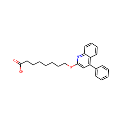 O=C(O)CCCCCCCOc1cc(-c2ccccc2)c2ccccc2n1 ZINC000013729628