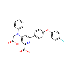 O=C(O)CN(c1ccccc1)c1cc(C(=O)O)nc(-c2ccc(Oc3ccc(F)cc3)cc2)c1 ZINC000114592935