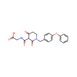 O=C(O)CNC(=O)C1C(=O)CCN(Cc2ccc(Oc3ccccc3)cc2)C1=O ZINC000208144123