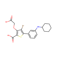 O=C(O)COc1c(C(=O)O)sc(-c2cccc(NC3CCCCC3)c2)c1Br ZINC000016052432