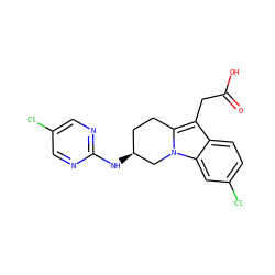 O=C(O)Cc1c2n(c3cc(Cl)ccc13)C[C@@H](Nc1ncc(Cl)cn1)CC2 ZINC000203538934