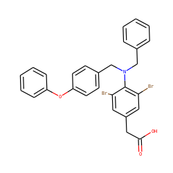 O=C(O)Cc1cc(Br)c(N(Cc2ccccc2)Cc2ccc(Oc3ccccc3)cc2)c(Br)c1 ZINC000084732064